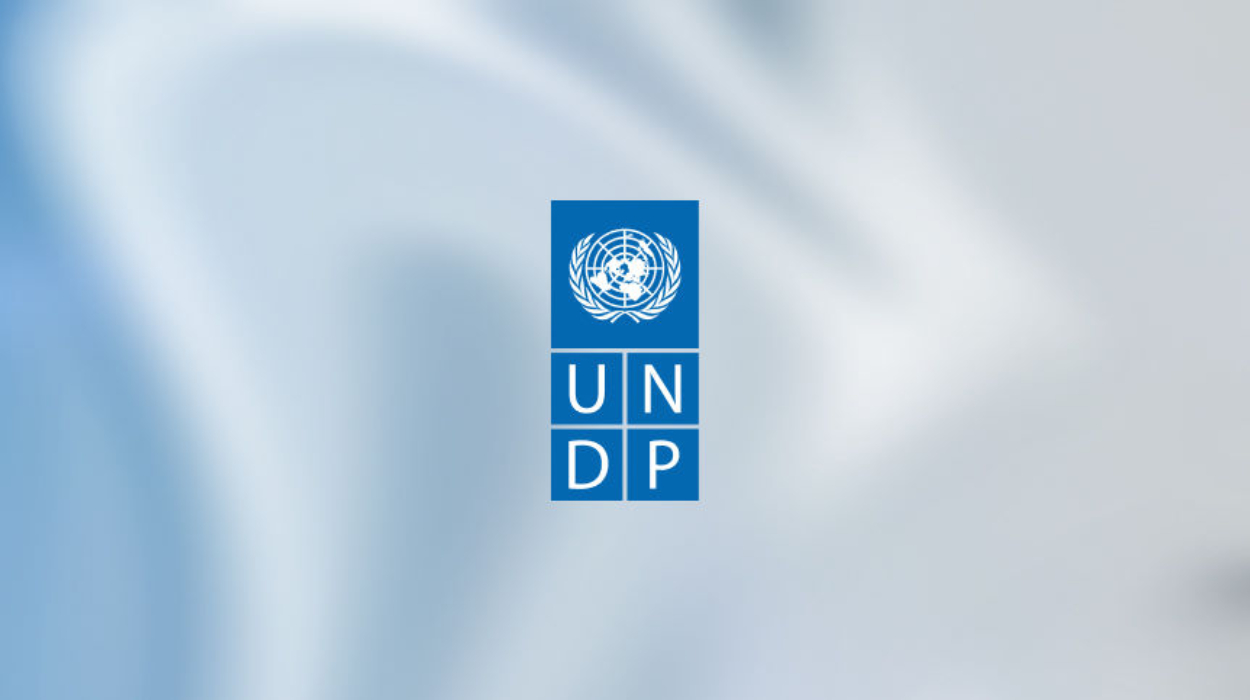UNDP Addresses Abkhazian FM's Requests, Reaffirms Sustainable Goals