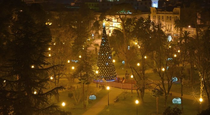  Christmas tree in Abkhazia