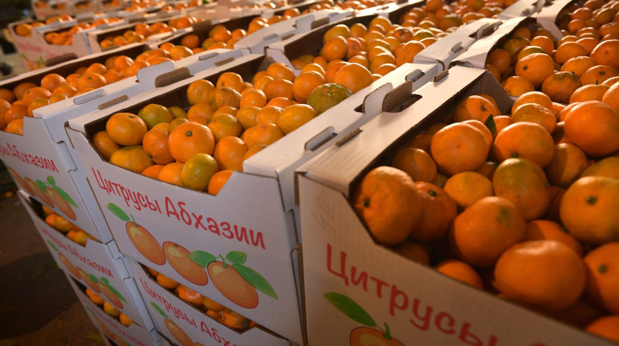 Russia’s tangerine imports rose 14.4% to 738,300 tons as of 5 December.