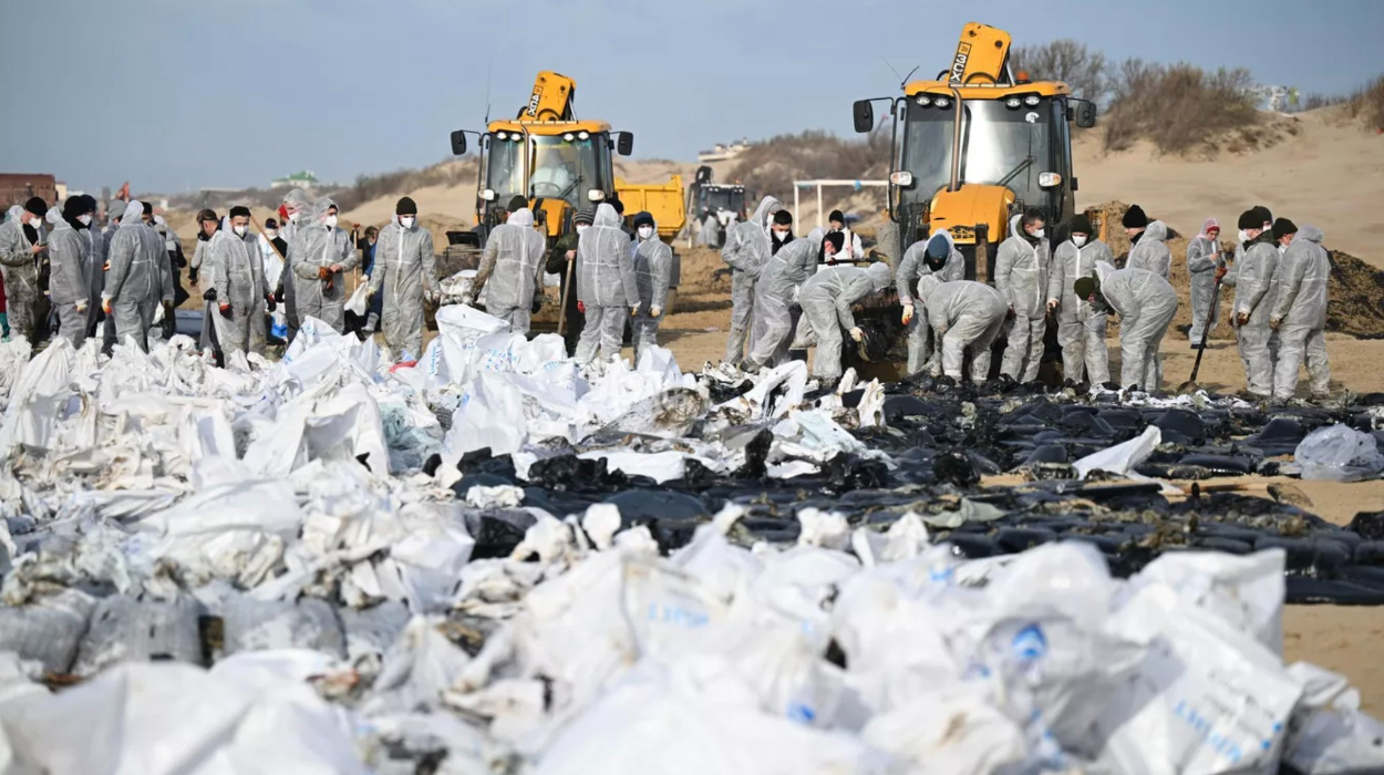 Efforts to clean the shores of the Krasnodar Region continue after two Russian oil tankers.