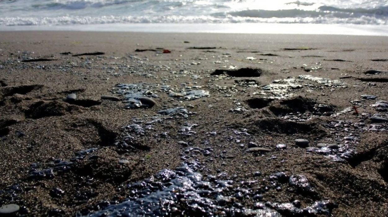 Fuel oil has washed ashore across dozens of kilometres in Krasnodar Krai.