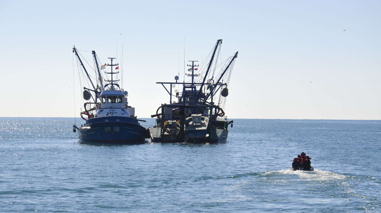 Catch quotas for key fish species set by Abkhazia for the 2024-2025 fishing season.