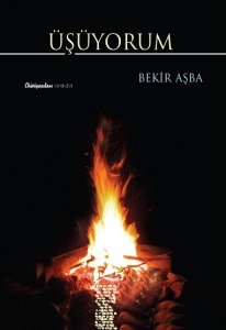 I feel cold (Üşüyorum) by Bekir Ashba