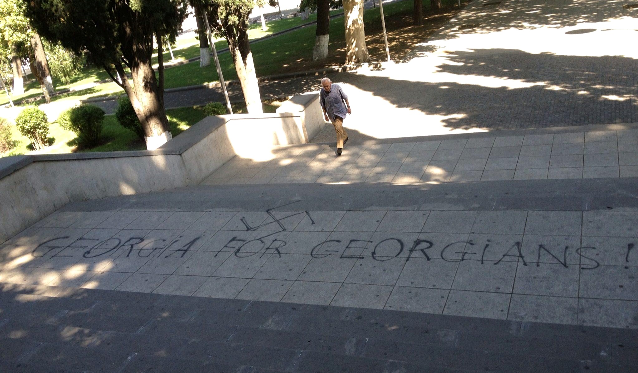 Georgia for Georgians slogan